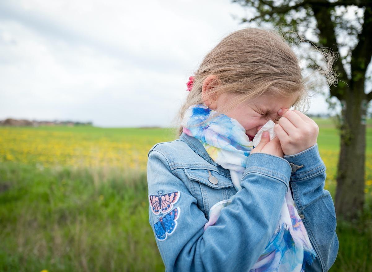 Allergies : les pollens sont déjà de retour dans l'Est