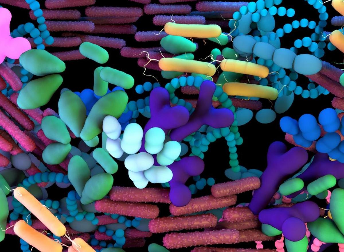 Microbiote : l'intestin héberge aussi 140 000 virus