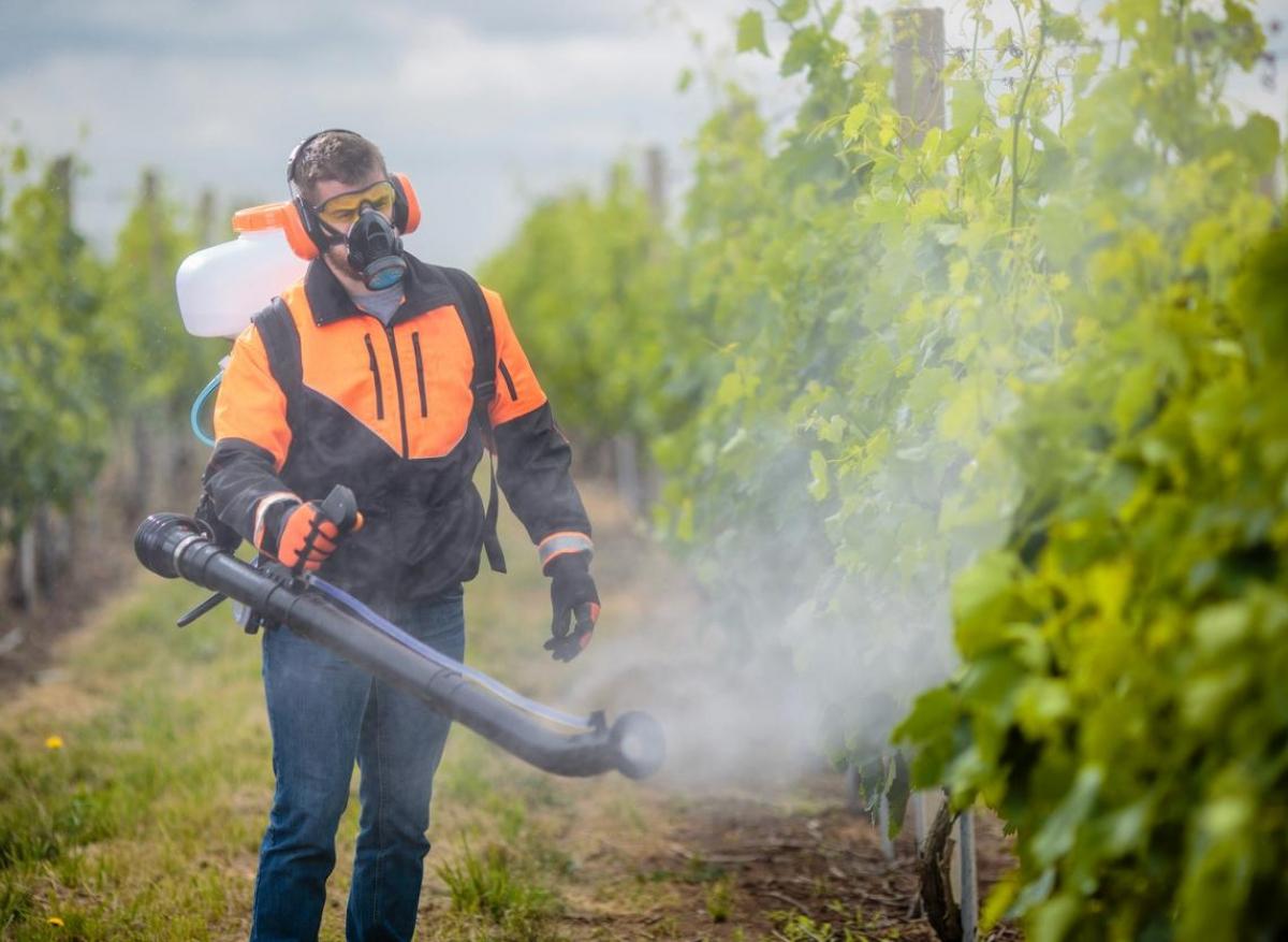 Cancer de la prostate : bientôt une maladie professionnelle pour les agriculteurs