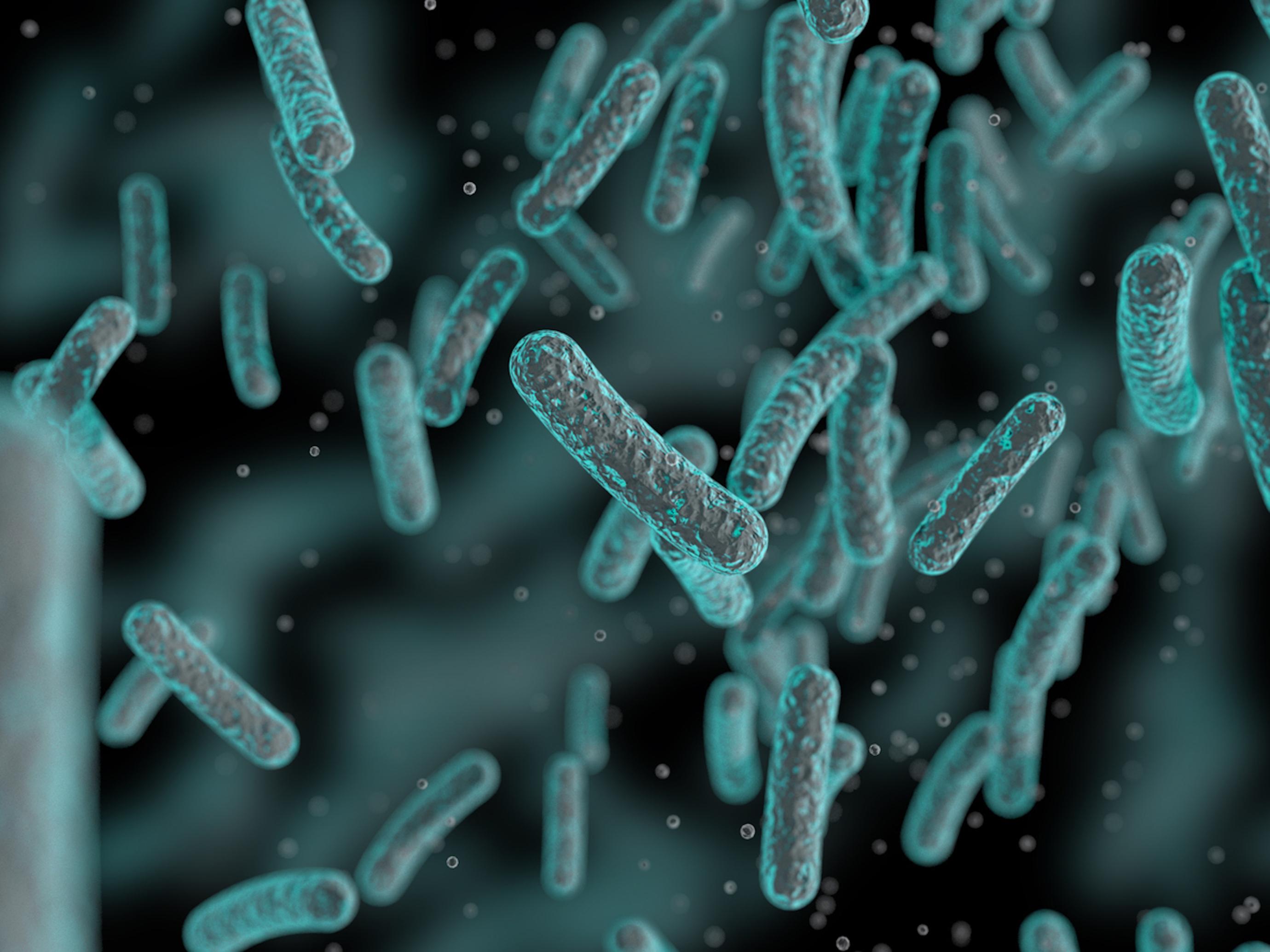 Antibiorésistance : une nouvelle molécule tue 5 super-bactéries résistantes 