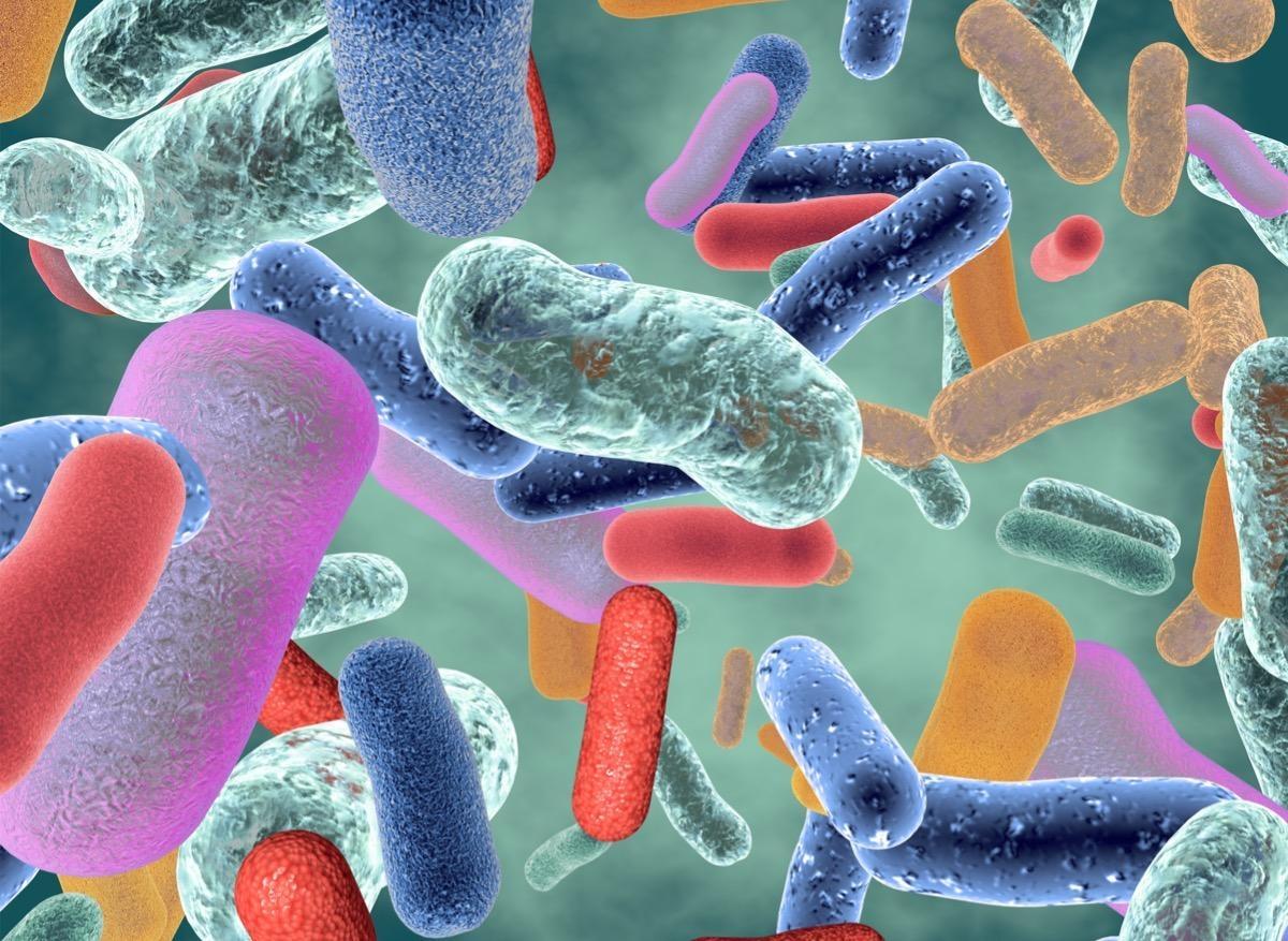 Allergies : il serait possible d'agir sur le microbiote pour les traiter 