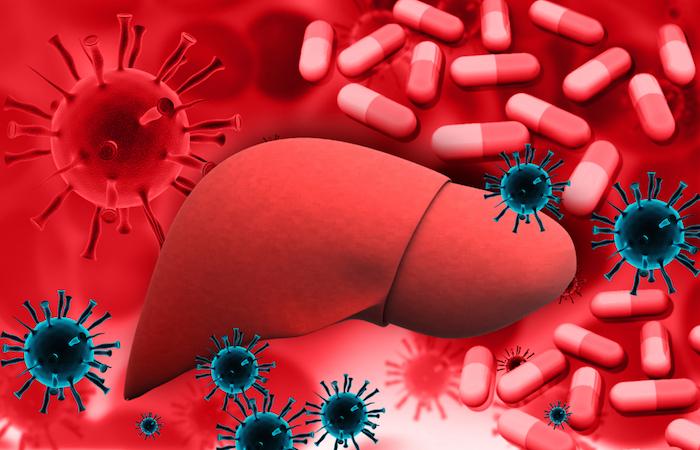 Hépatite C : les nouveaux antiviraux réduisent le risque de cancer du foie
