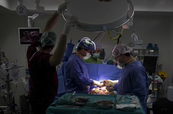 Transplantation cardiaque : 33 ans avec une greffe, record battu