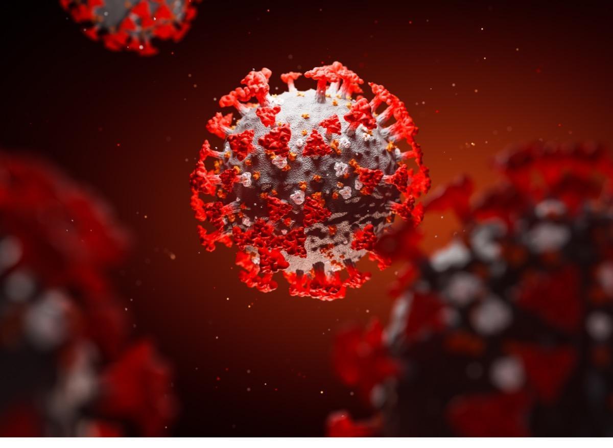 Covid-19 : un 2ème récepteur pour mieux pénétrer dans les cellules