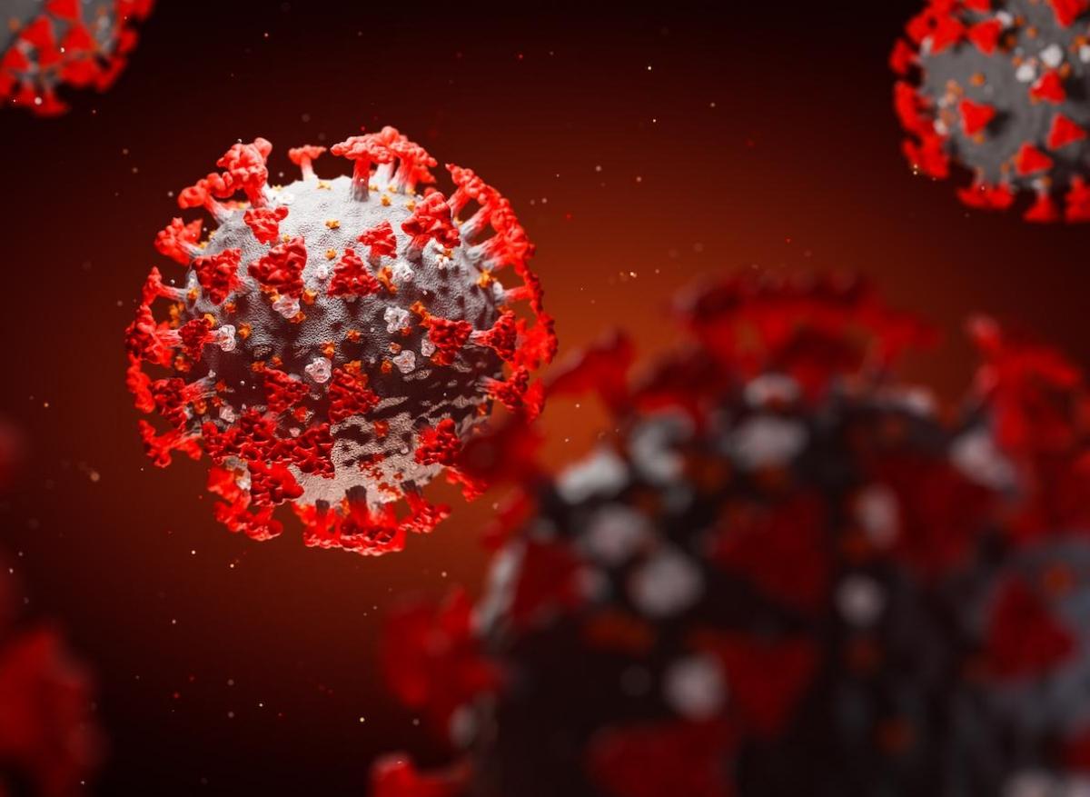 Coronavirus : un médicament pourrait bloquer l'infection des cellules
