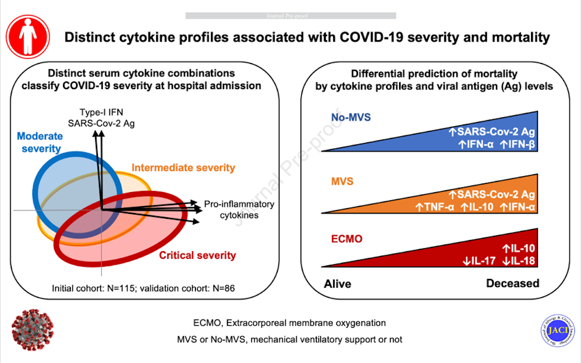 Covid-19 et formes sévères : des profils hétérogènes justifiant un profilage cytokinique 