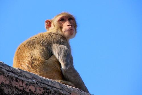 Sida : une stratégie 