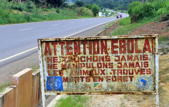 Ebola : Une forte dose d'antiviral serait efficace 