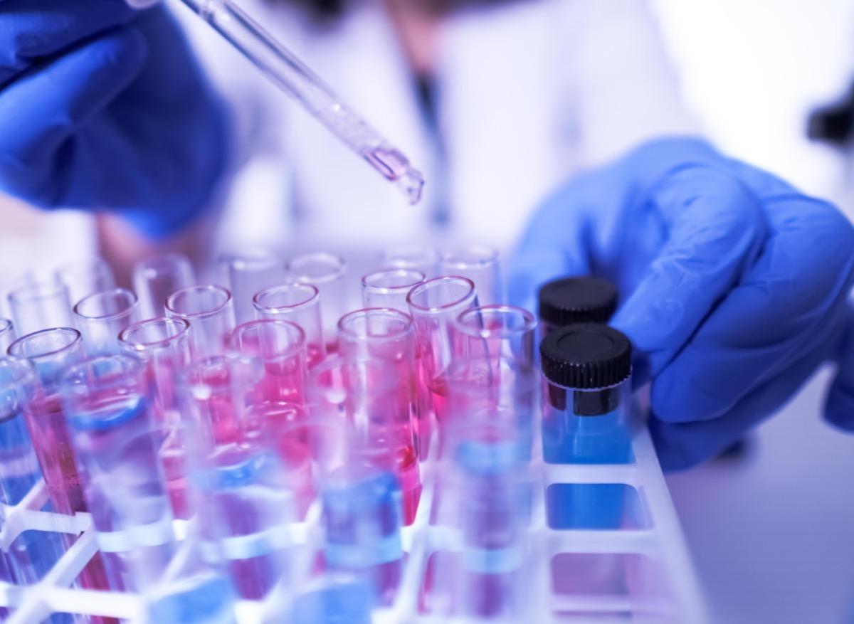 Maladies à prions : résultats préliminaires sur un nouveau traitement 