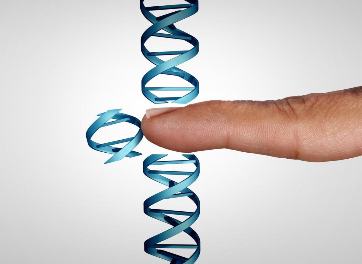 Innovation : la thérapie génique, un espoir pour des maladies graves