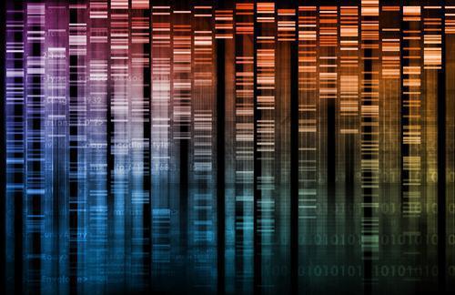 Biopsie liquide : une nouvelle méthode permet le diagnostic du tissu d’origine de la tumeur