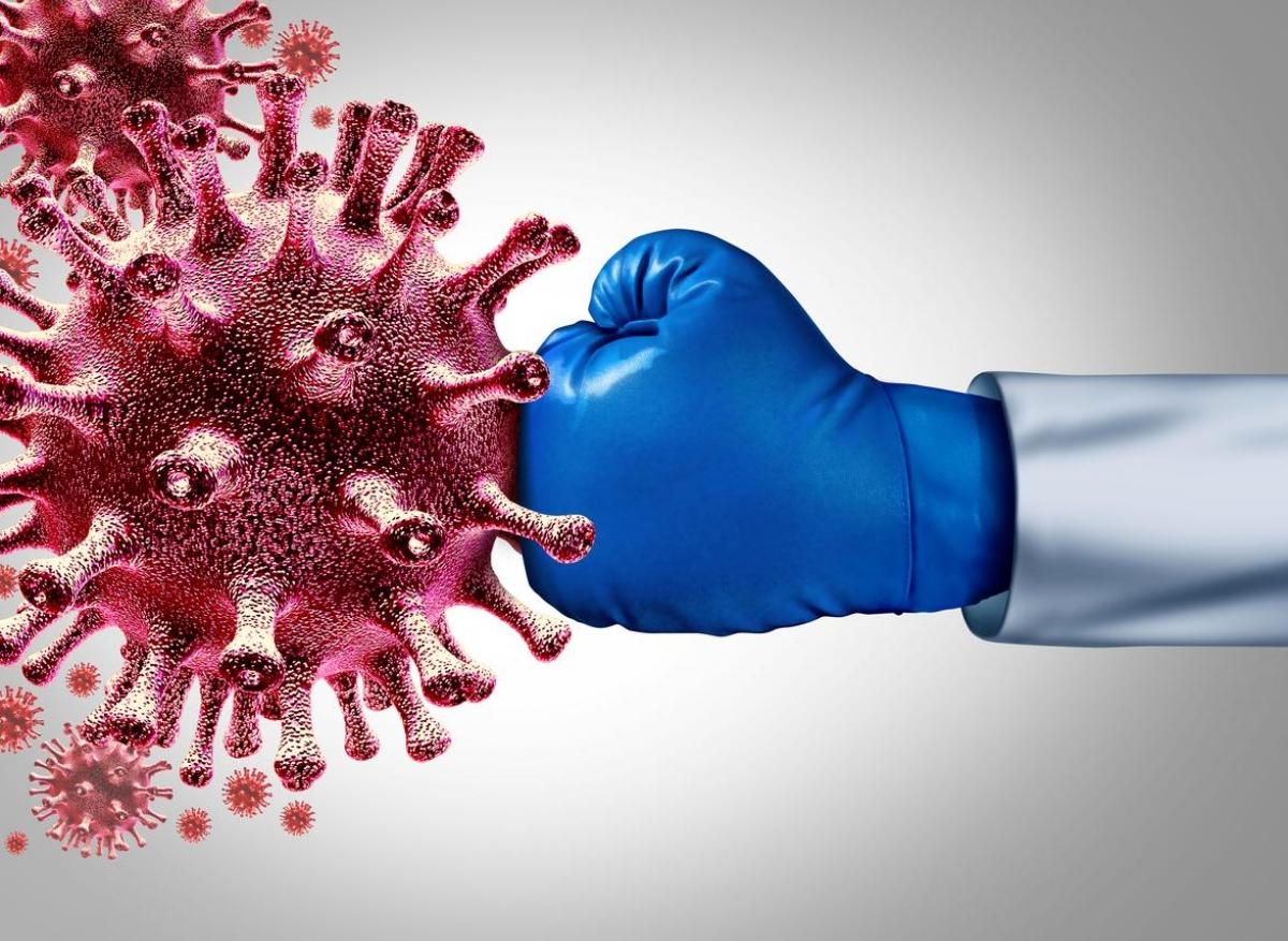 Covid-19 et baisse des anticorps : y a-t-il diminution de l'immunité acquise ?