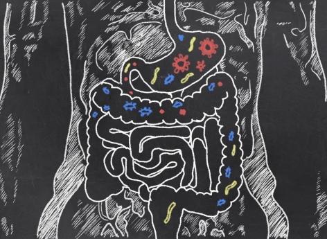 Syndrome du côlon irritable : l'analyse du microbiote pour individualiser le traitement