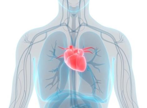 Risque cardiovasculaire : on comprend mieux le sur-risque associé à un bas niveau d'étude