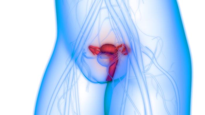 Cancer de l'ovaire BRCA-muté : utilité d’un inhibiteur de PARP sur la survie sans progression