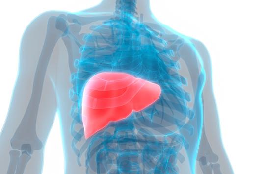 Carcinome hépatocellulaire : résection hépatique vs traitement local par radiofréquence