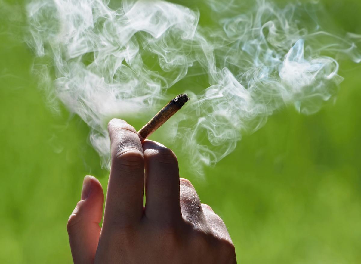 Cannabis : quels effets pour une consommation régulière à l'adolescence ?