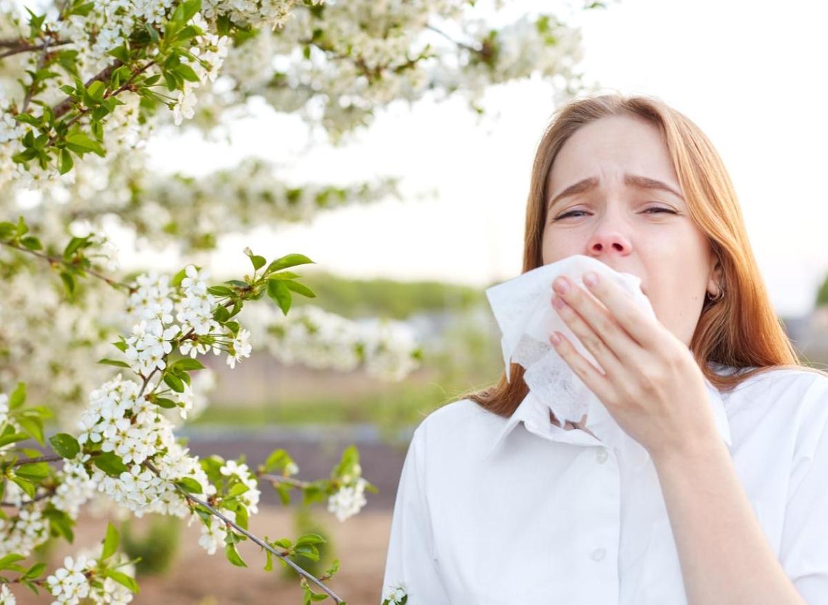 Allergies saisonnières : le changement climatique augmenterait la durée des pollens