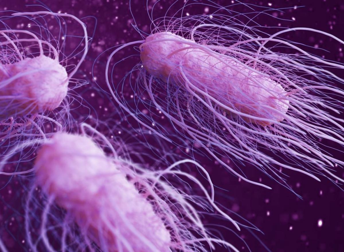 Super-bactéries : responsables de la mort de 8 000 personnes au Japon