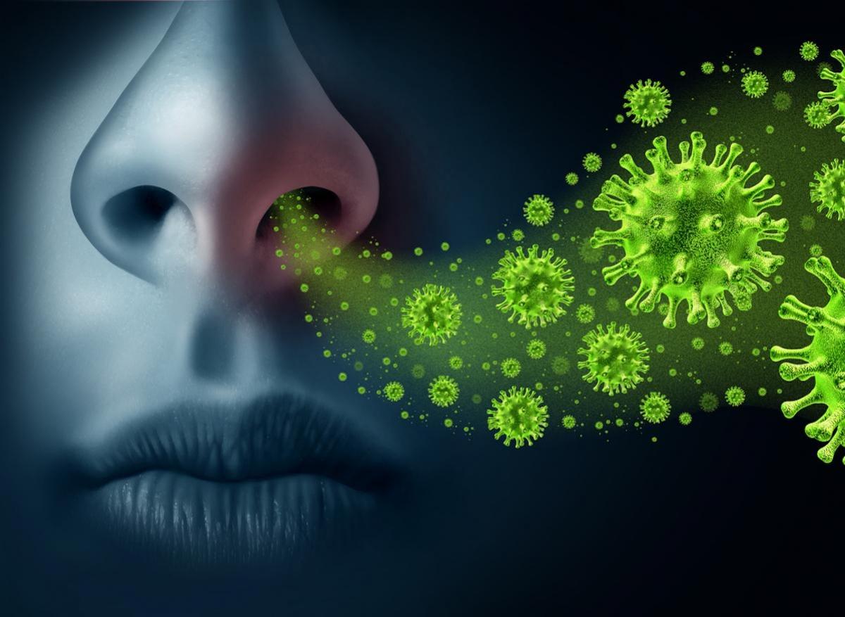 Maladies respiratoires : on commence à s'intéresser au microbiote nasal