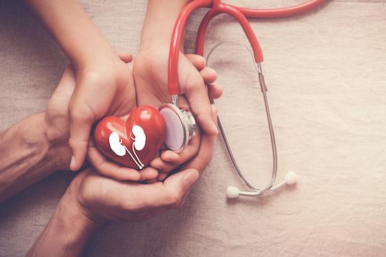 Insuffisance rénale chronique : un dépistage des malades à risque cardiovasculaire 