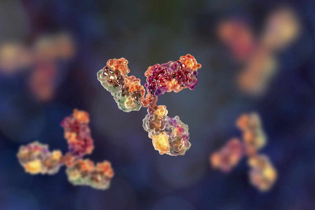 Myélome multiple en rechute ou réfractaire : les anticorps bispécifiques augmentent le risque infectieux