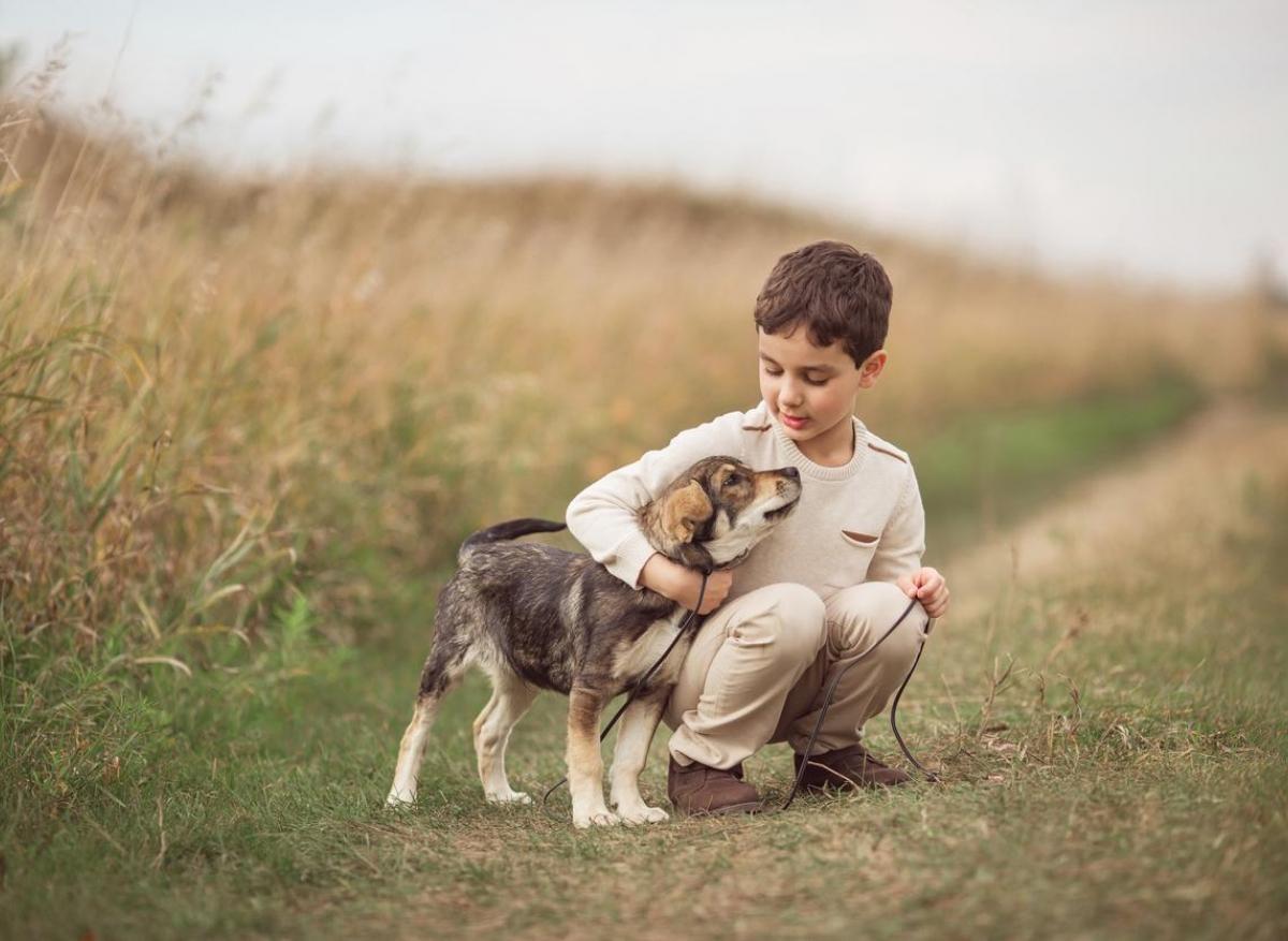 Schizophrénie : grandir avec un chien réduirait les risques 