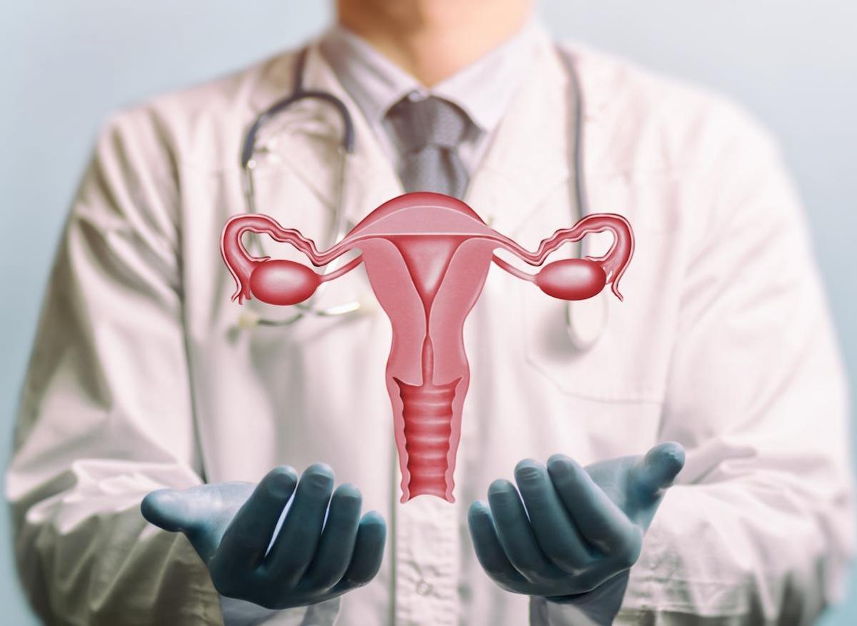 Cancer de l'endomètre : l'analyse du microbiote vaginal pourrait améliorer le dépistage