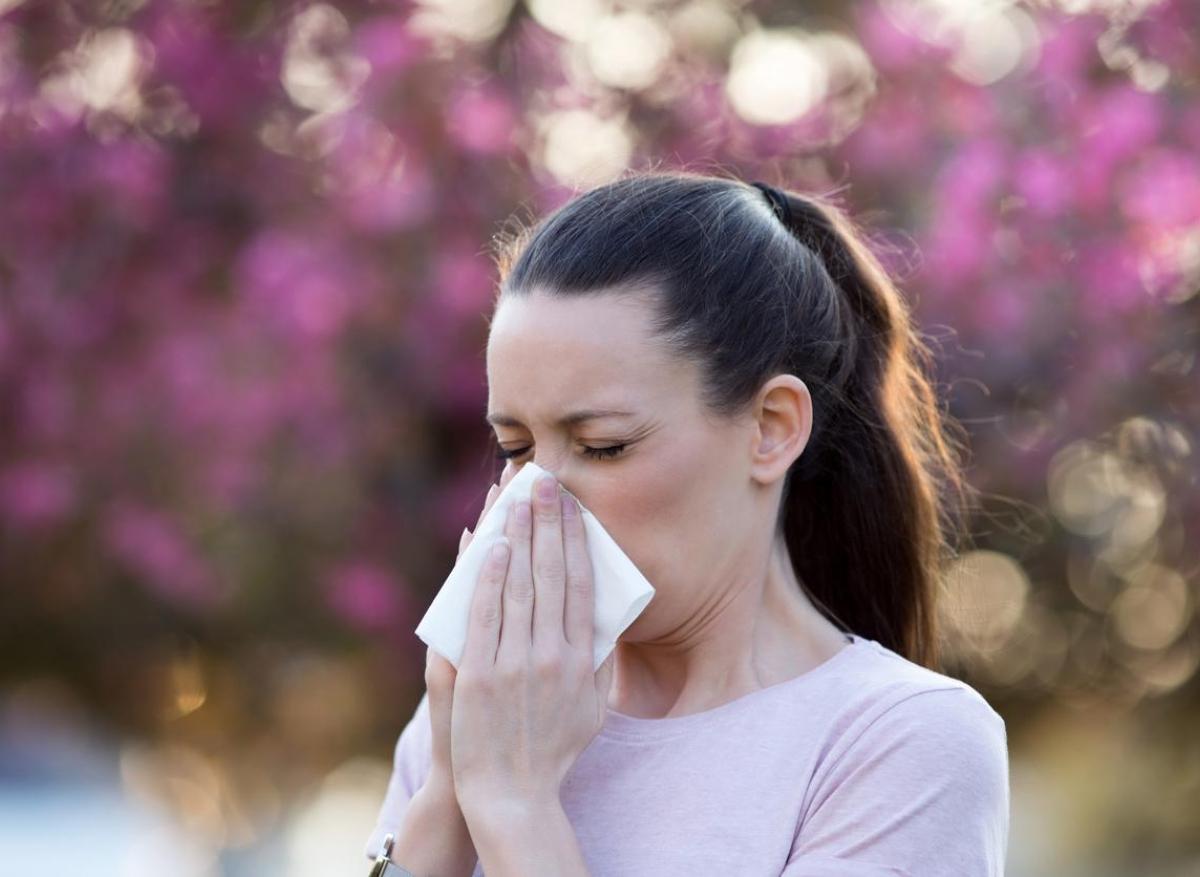 Allergie au pollen : 11 départements, surtout dans l'Ouest, dans le rouge