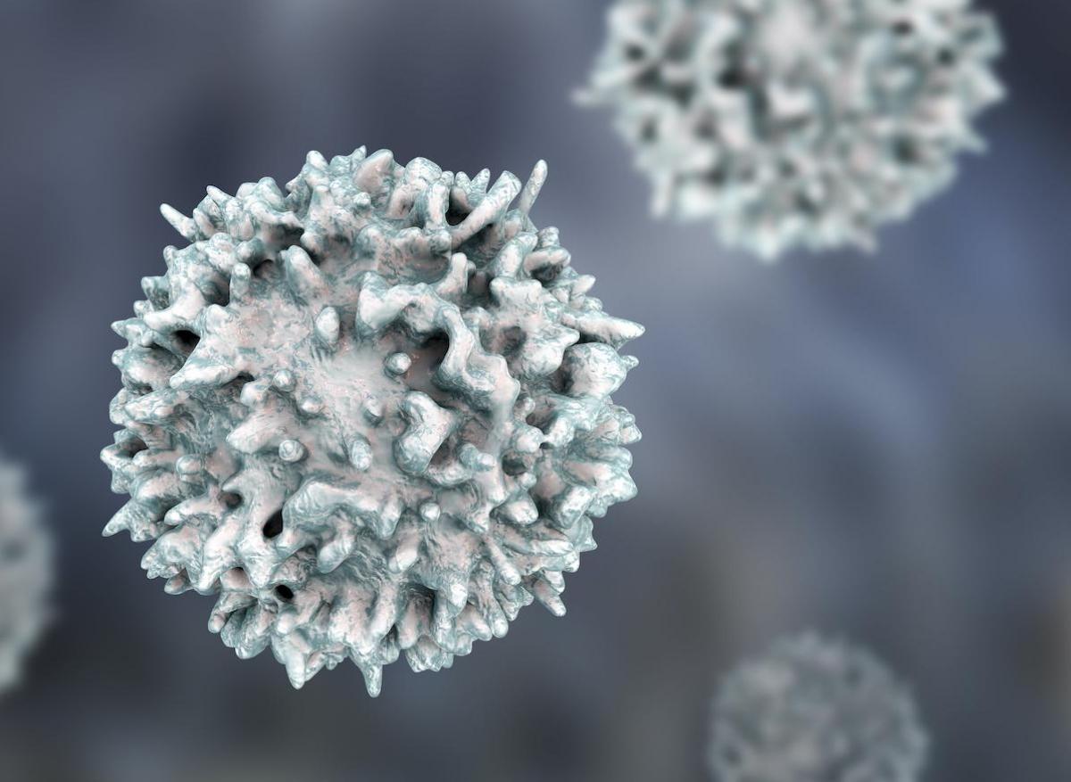 SARS-CoV-2 : les rhumes ont entraîné notre système immunitaire à le reconnaître