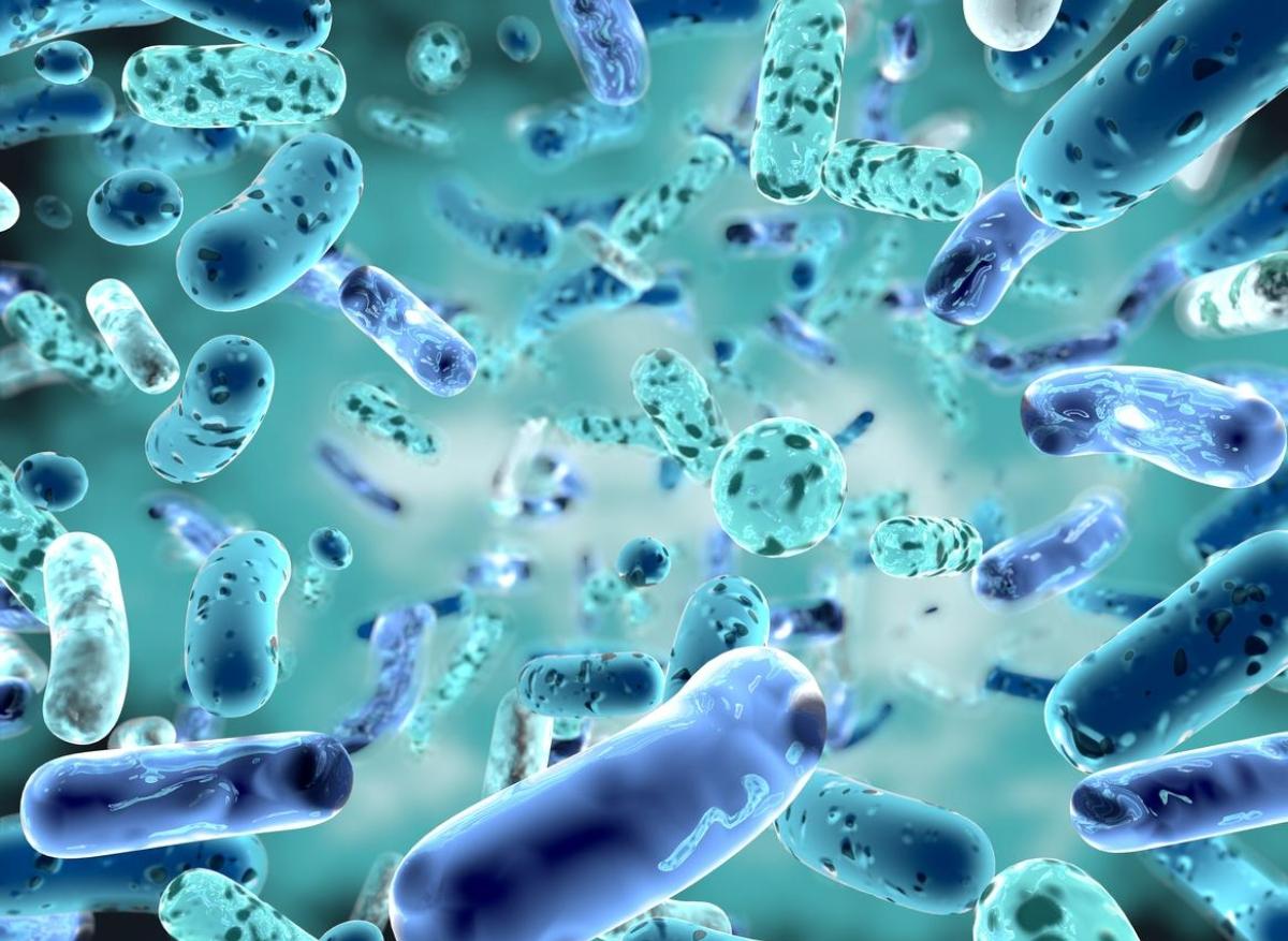 Antibiorésistance : baisse des infections à germes résistants en 2020