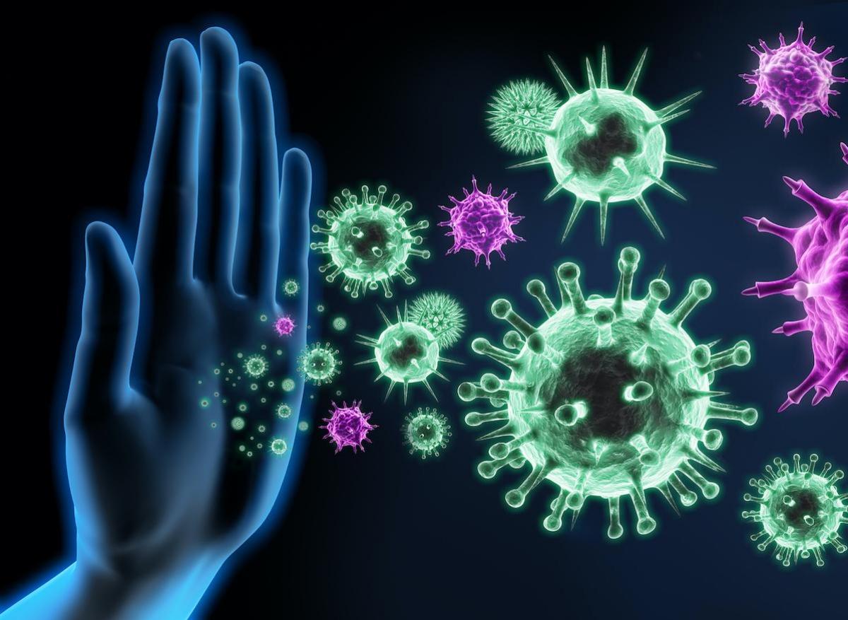 Covid-19 : l’immunité anti-SARS-Cov-2 toujours présente un mois après la guérison