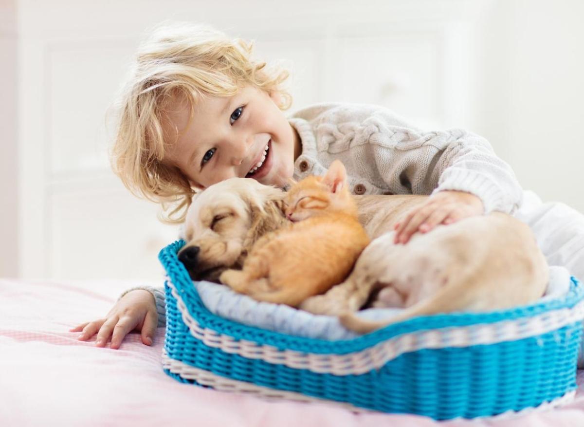 Allergie alimentaire : moins chez les enfants qui vivent avec un animal