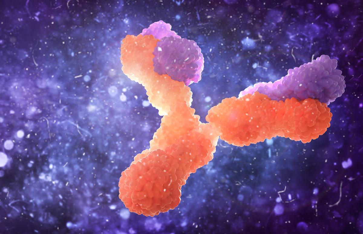 Cancer du sein métastatique HER2+ : nouvel anticorps conjugué trastuzumab duocarmazine