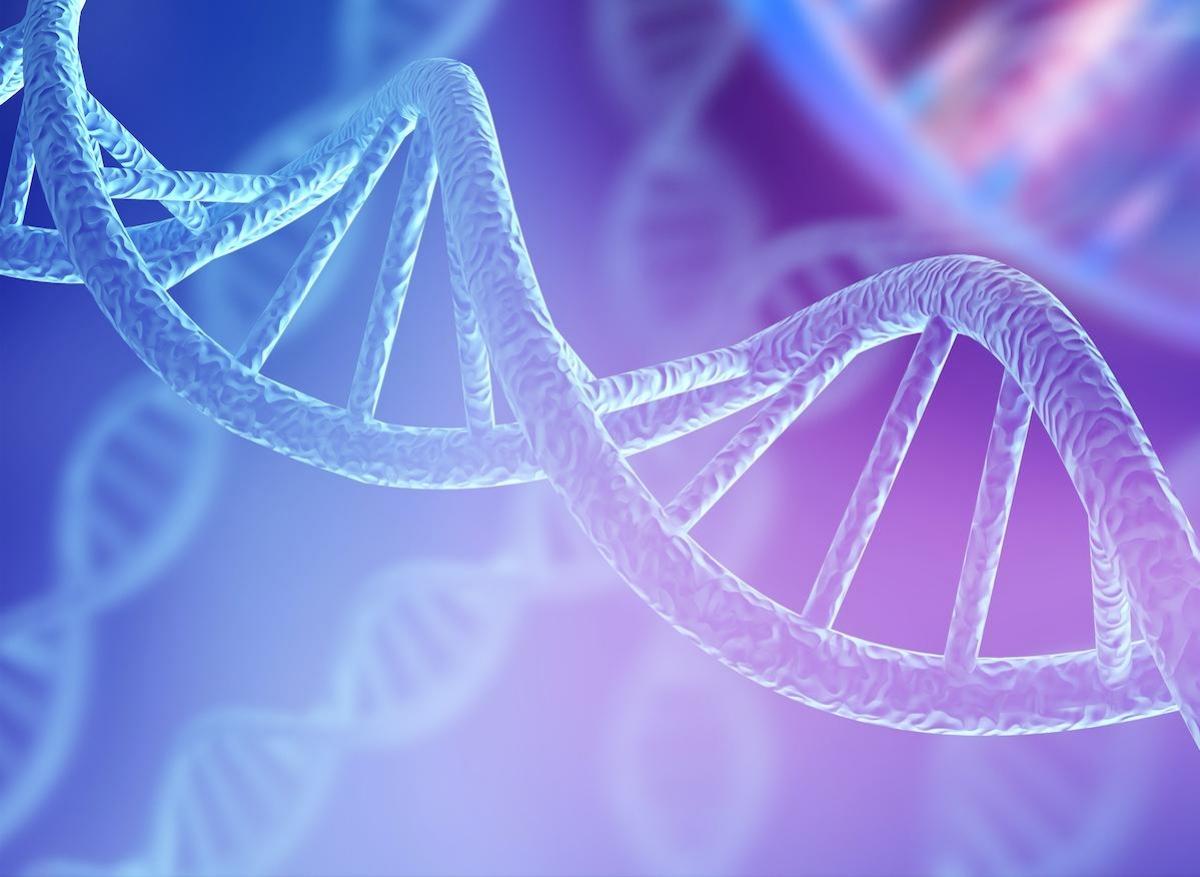 Cancer du sein : les structures ADN à quatre brins sont fréquentes