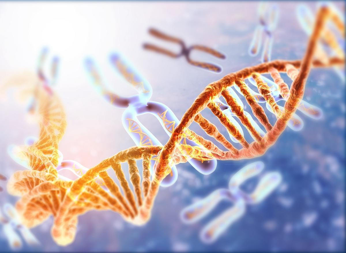 Réparer l'ADN à partir de l'ARN : une découverte inattendue