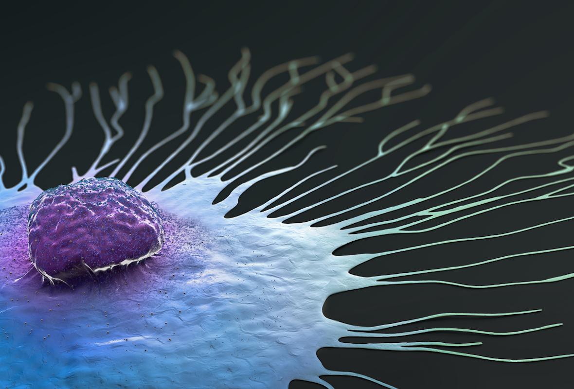 Cancers du sein métastatiques RH+/HER2- pré-traités : bénéfice de l’Eftilagimod alpha en population ciblée
