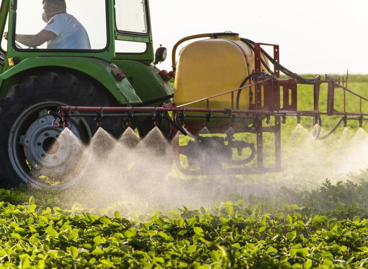 Pesticides : des soignants alertent sur le déni des connaissances scientifiques