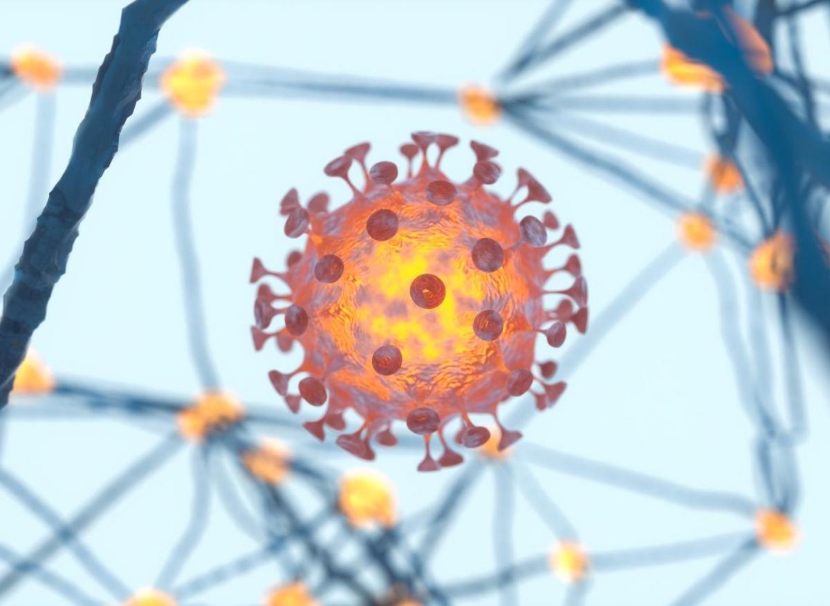 Covid-19 :  le SARS-CoV-2 infecte le système nerveux central et les vaisseaux