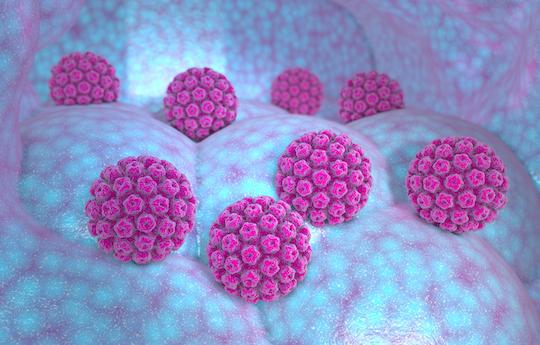 Vaccination anti-HPV : baisse des cancers du col en vraie vie