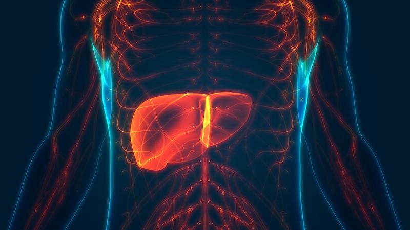 Adénocarcinome gastrique avancé HER2-+ : résultats très prometteurs d'une triple association