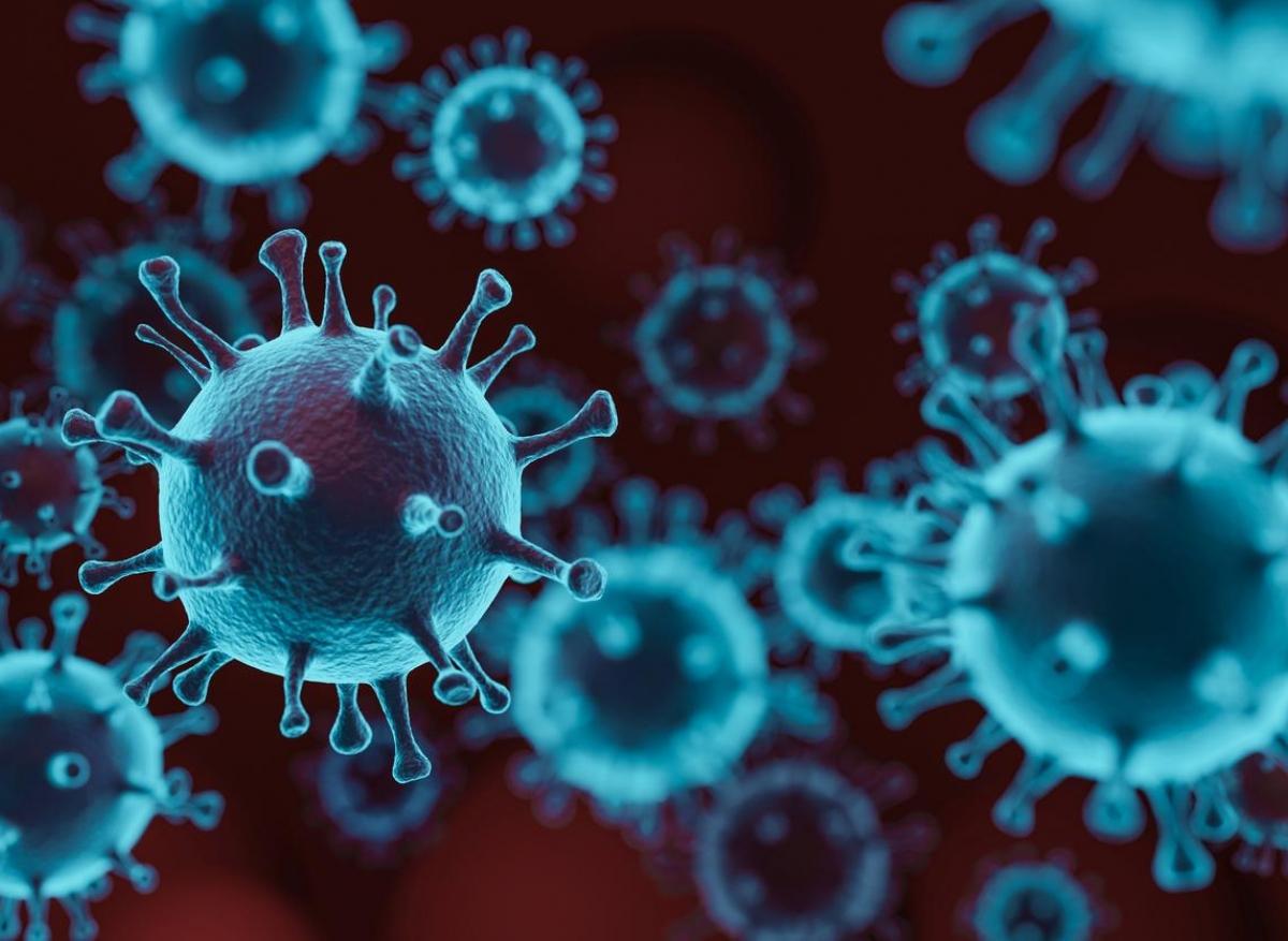 Covid-19 : possible immunité croisée avec les coronavirus hivernaux