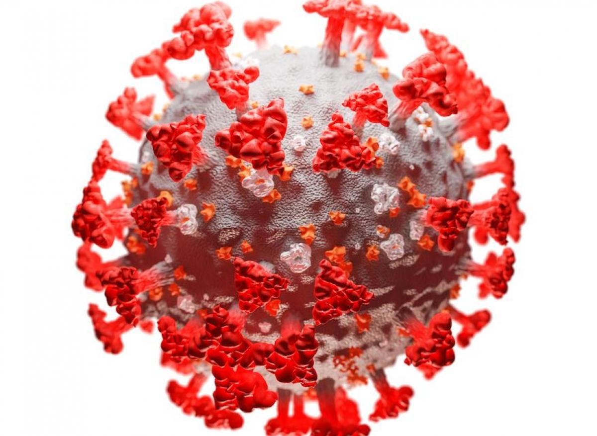 Coronavirus : une surmutation selon Didier Raoult, qu’en dit la science ?
