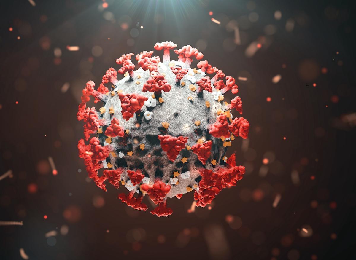 Covid-19 : le bepridil pourrait réduire l'infection des cellules 