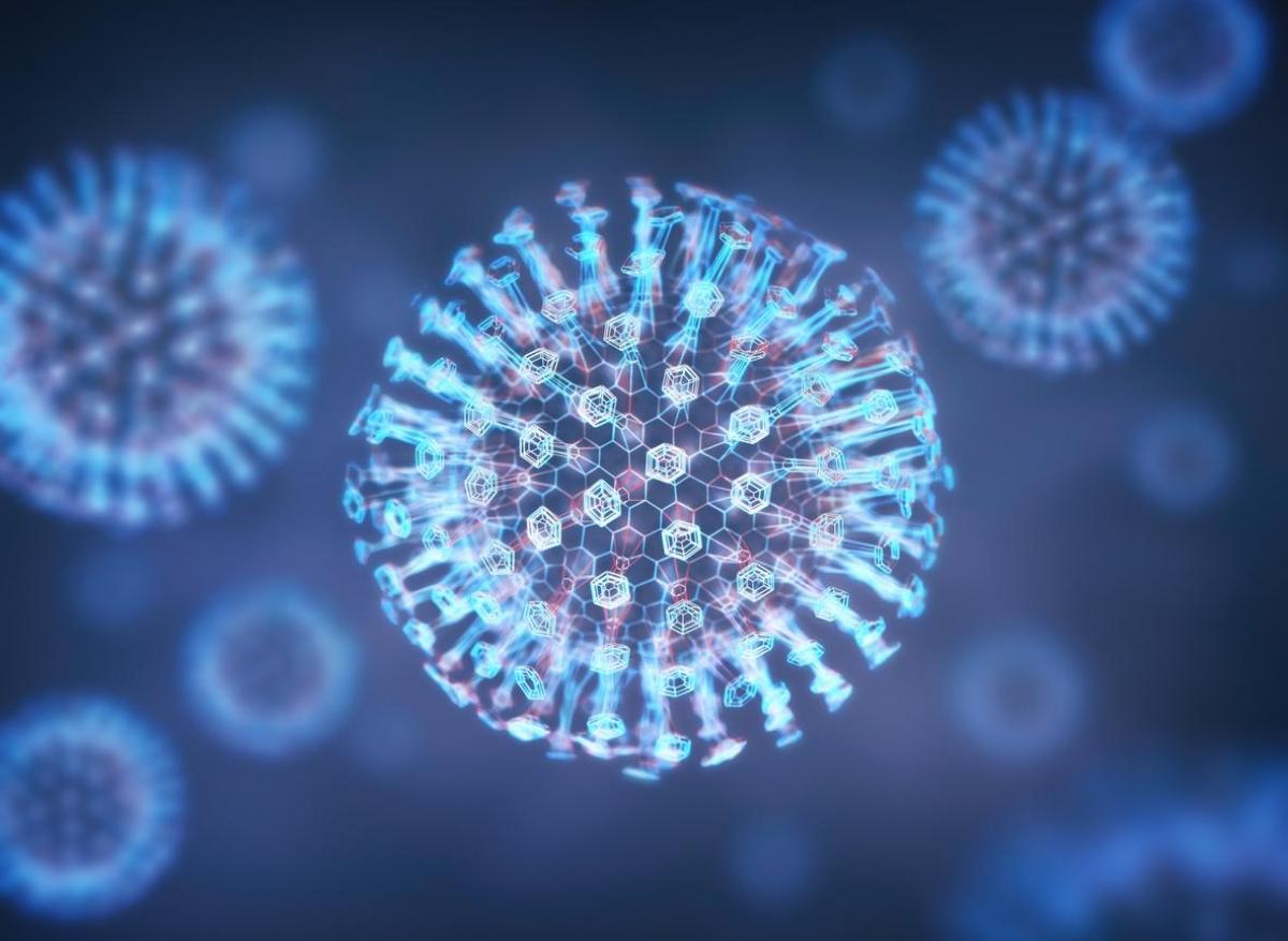 Variole de l’Alaska : un nouveau orthopoxvirus détecté aux États-Unis