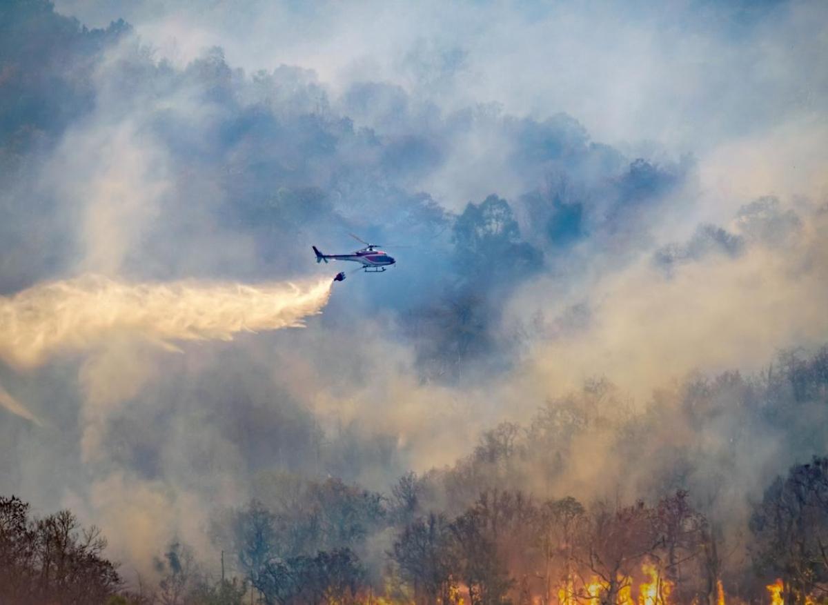 Feux de forêt : une pollution plus toxique que les gaz d'échappement