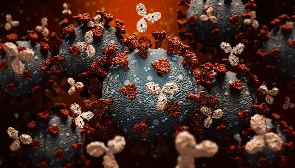 Carcinome épidermoïde cutané métastatique : actualités dans l’immunothérapie à l’ASCO 2020