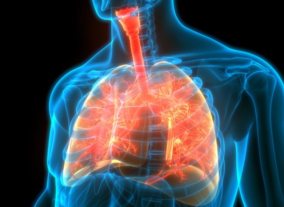 Vitamine K : elle serait importante pour la santé pulmonaire