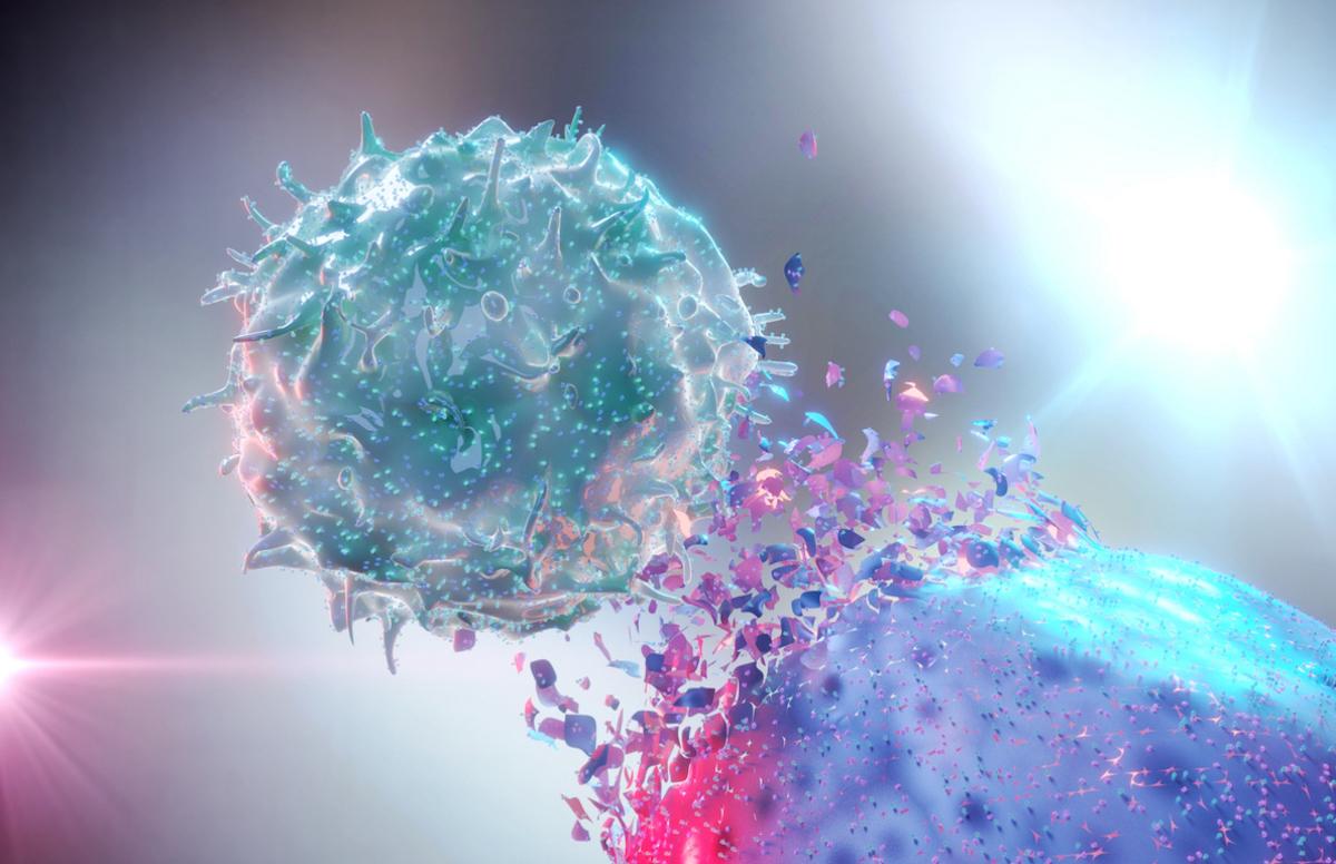 Immunothérapie : renforcer son efficacité en déstressant les lymphocytes T intra-tumoraux