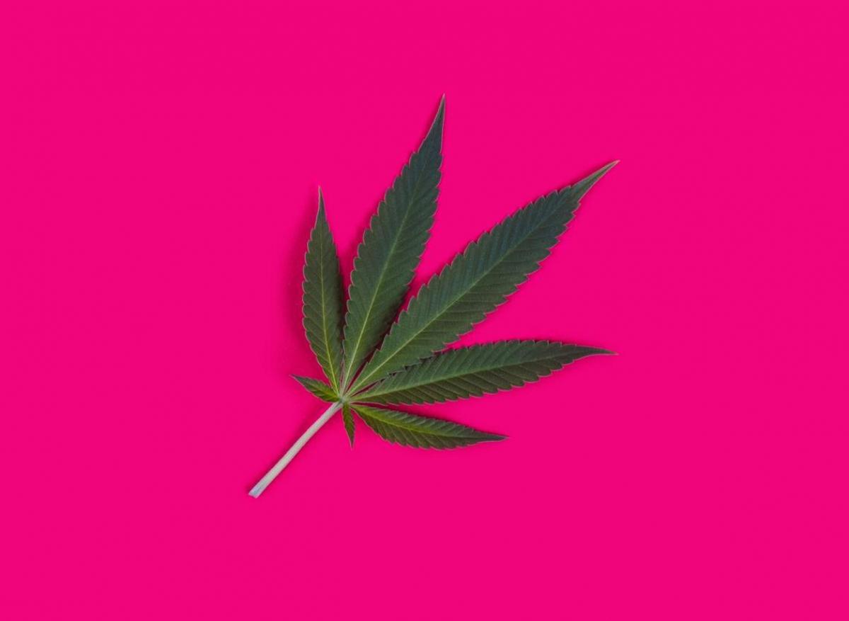 Cannabis récréatif : légaliser augmente la consommation des jeunes mamans